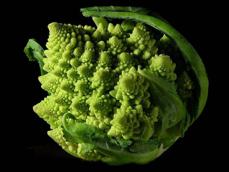 Broccoli fractal