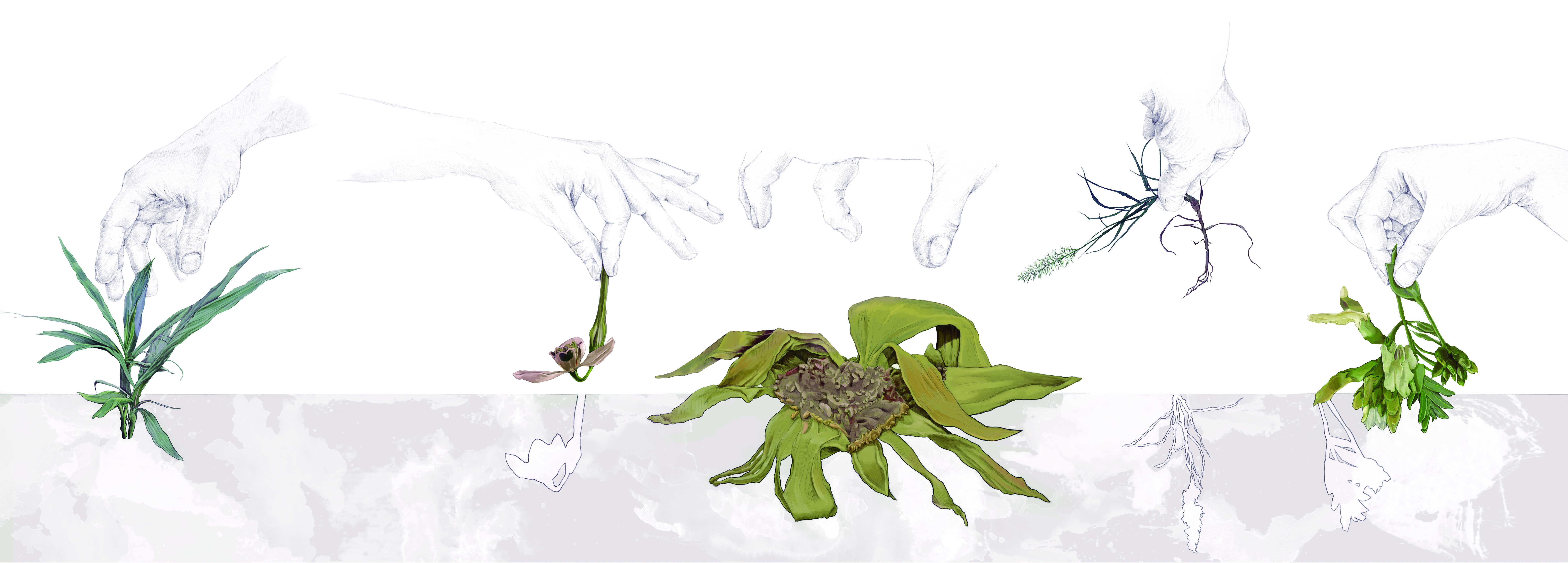 Yolanda González «Plantas amenazadas. Ilustración principal» Fuente: 'Botánica insólita'